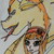 :icondoragon-and-tora: