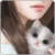:icondoremiland: