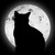 :icondori411: