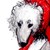 :icondork-swag:
