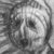 :icondorkupine: