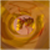 :icondoronmerav: