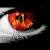 :icondorotka-z-lasu: