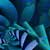 :icondorsetblue: