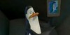 :icondorski-fans: