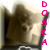 :icondoska: