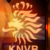 :icondosveadeiros: