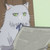 :icondothelalala: