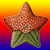 :icondotherstarfish: