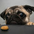 :icondotteddots: