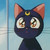 :icondotty-cat: