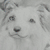 :icondoubkle: