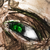 :icondoubtwing: