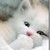 :icondoudou127:
