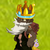 :icondoug-lee: