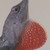 :icondoug13a: