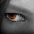 :icondovesong: