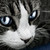 :icondovewing15: