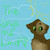 DovewingKitteh :icondovewingkitteh: