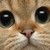 :icondowatdo: