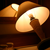:icondown2earth002: