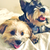 Downrightlazy :icondownrightlazy: