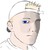 :icondowntownmickeybrown: