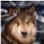 :icondownwired: