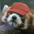 :icondox111:
