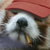 :icondox111: