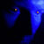 :icondp-designs: