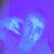 :icondpowis: