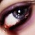 :icondr-freudstein: