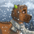 :icondr-greenshepherd: