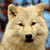 :icondr-hype: