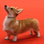 :icondr-perky: