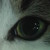 :icondr-primevalchick: