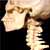 Dr-Vertebreaker :icondr-vertebreaker:
