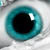 :icondr-vision: