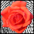 :icondr15: