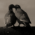 :icondr1983: