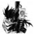 :icondr4gon-of-ch4o5: