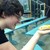 :icondracawing13: