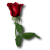 :icondrachekinder: