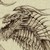 :icondraco-666:
