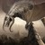 :icondraco4355: