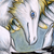 :icondracoastra: