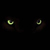 :icondracokall: