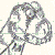 :icondracooccidentalis: