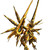 :icondracosd:
